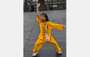 Pourquoi respirer par le nez en Qi Gong