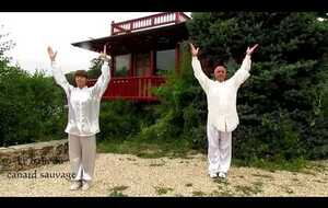 Qi Gong Bannière de Mawangdui école TAO
