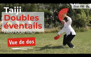 Double éventails forme vue de dos
