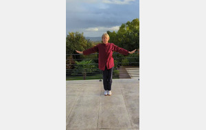 Yi Jin Jing 6 premiers mouvements