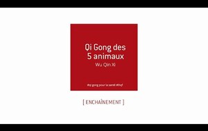 WU QIN XI - les cinq animaux