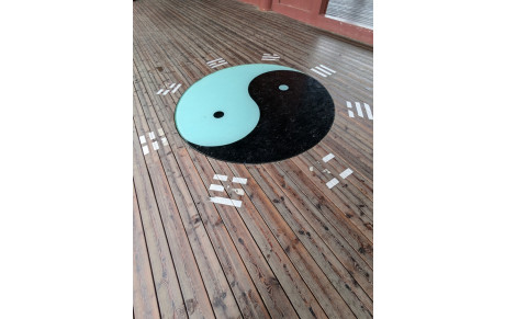 YIN YANG en Qi Gong, c'est quoi au juste ? 