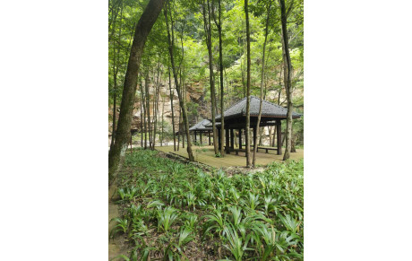 Excellente Année 2026