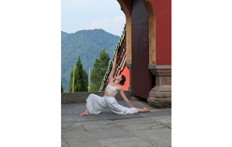 Savez-vous faire la différence entre souplesse et fluidité ? La réponse est sous l'onglet "documents" éléments du Qi Gong