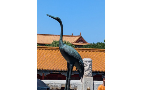 Qi Gong des 5 animaux WU QIN XI